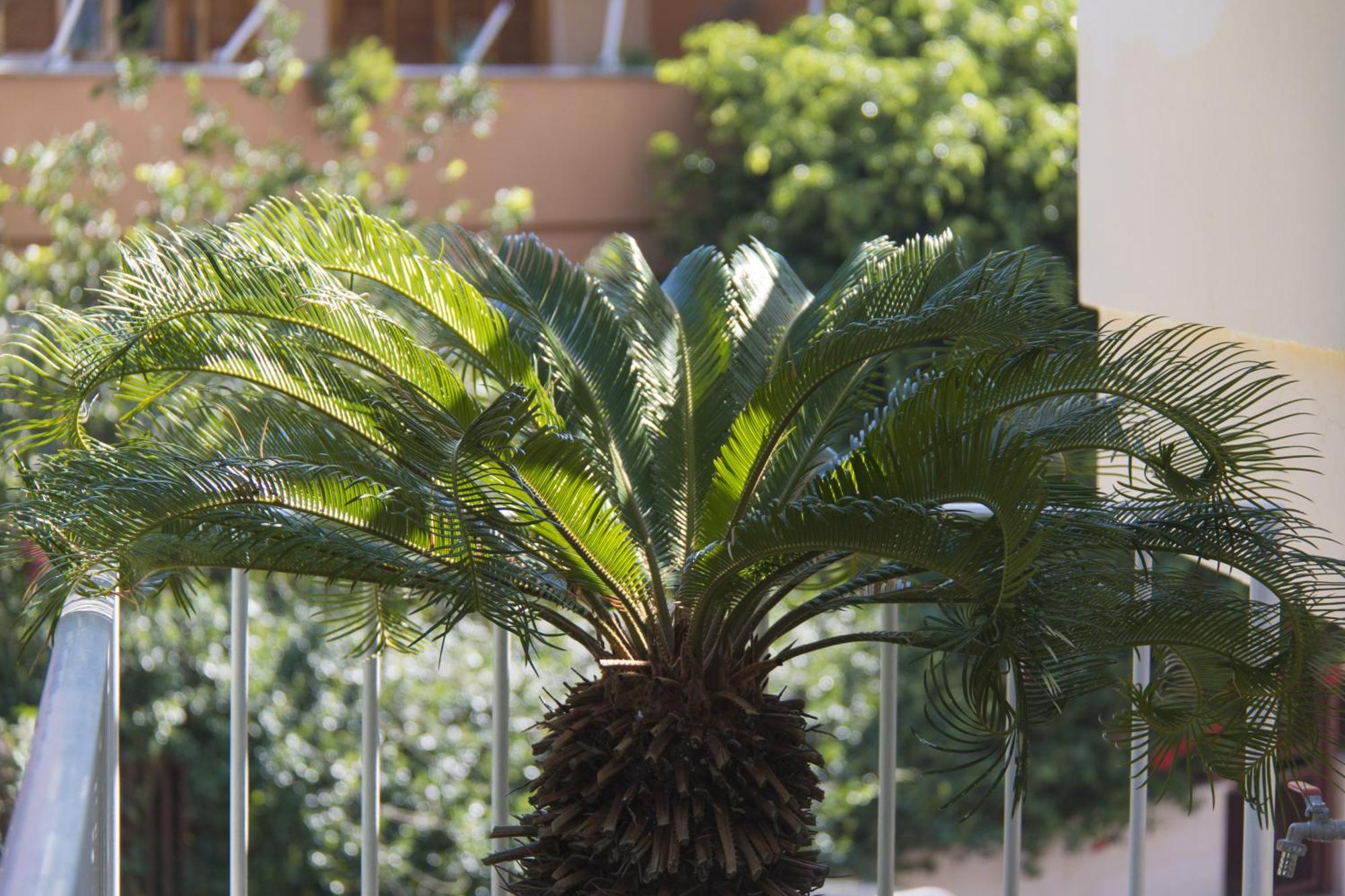 B&B Luxury Lecce Exterior foto